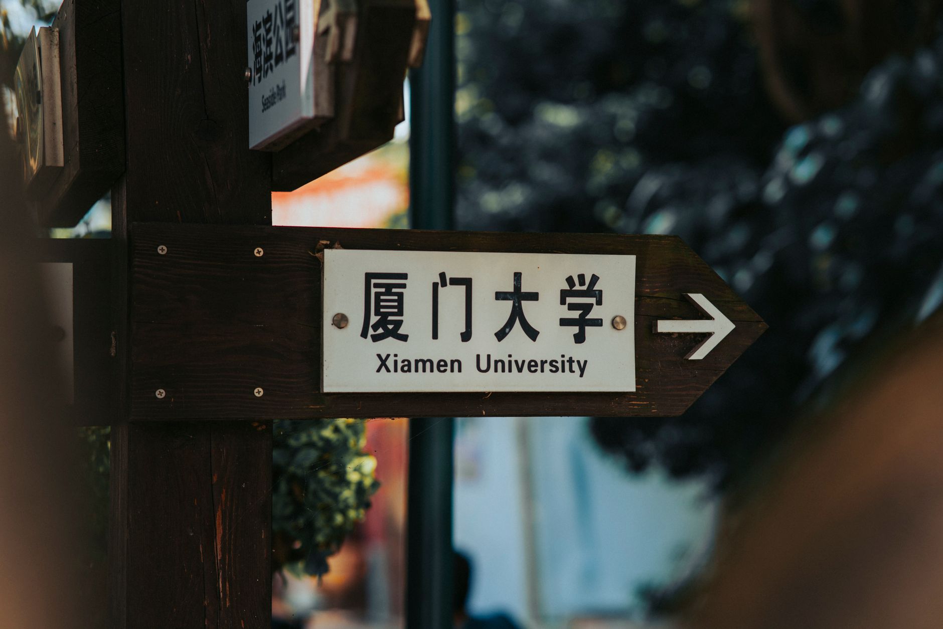studysg-org-cn 配图