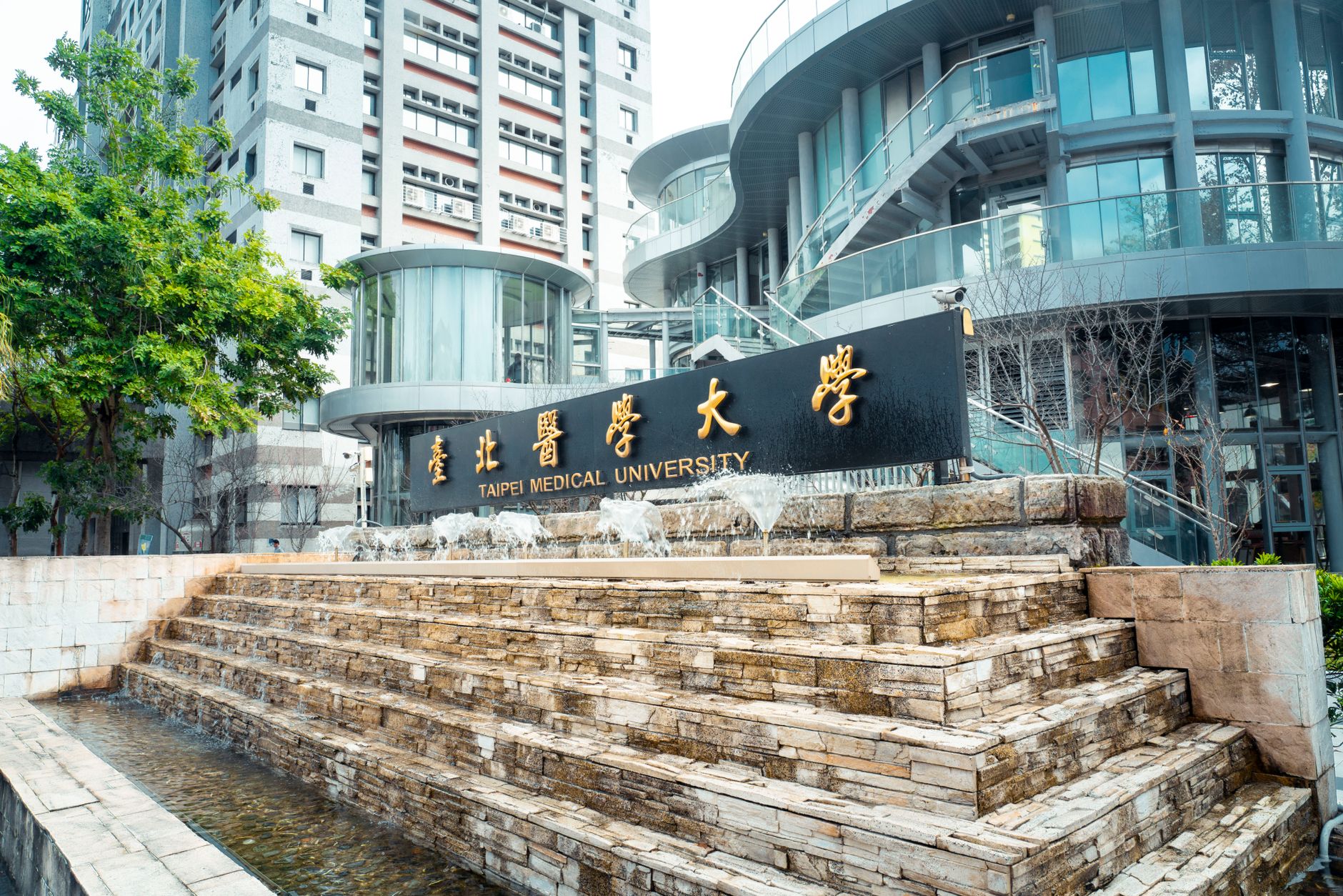 在新加坡念书的你,怎么找到靠谱的澳洲留学中介免费咨询?2026横向评分