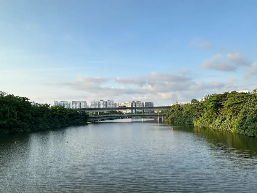 Yishun / Woodstock / Punggol：远但便宜的选择